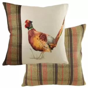 Image of Hunter Pheasant Square Cushion Multicolour