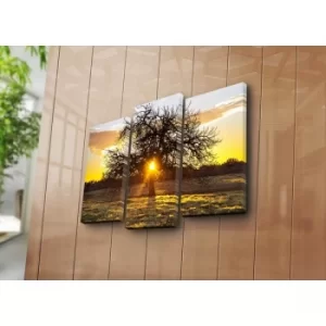 Image of 3NATPAT-50 Multicolor Decorative Canvas Painting (3 Pieces)