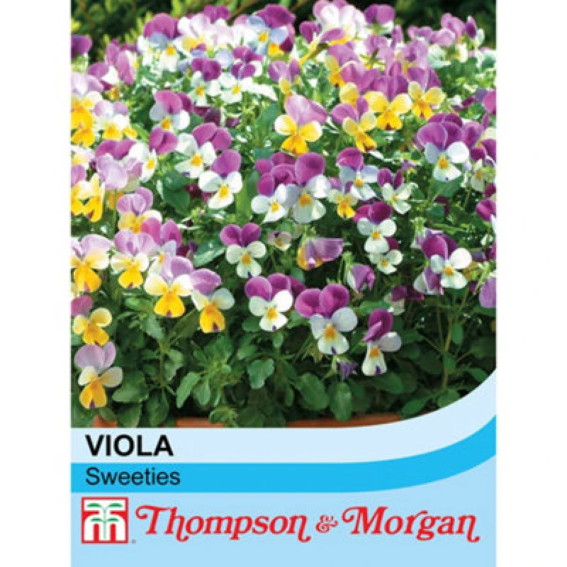 Image of Thompson & Morgan Viola X Williamsiana Sweeties 1 Seed Packet (25 Seeds)