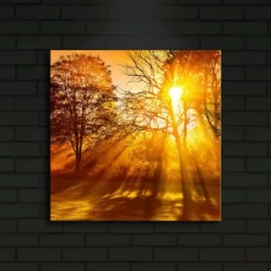 Image of 4040?ACT-10 Multicolor Decorative LED Lighted Canvas Painting