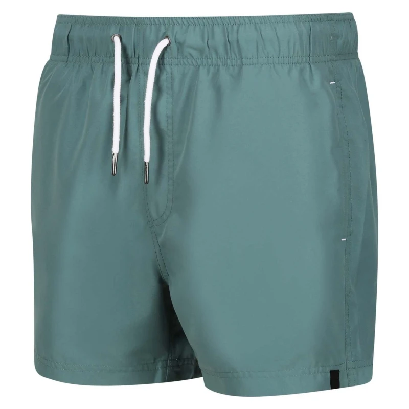 Image of Regatta Mawson III Swimming Shorts - Green Green 2XL