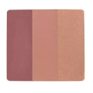 Image of Aveda petal essence face accents - 170/Plum Touch - 8.5 g