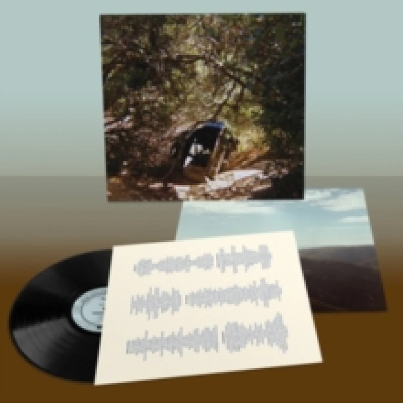 Image of Possession Vinyl