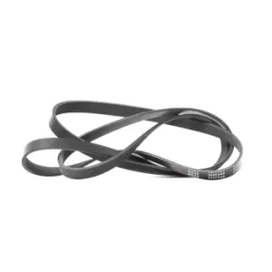 Image of RIDEX V-ribbed belt 305P0355 Serpentine belt,Auxiliary belt MERCEDES-BENZ,NISSAN,E-Klasse Limousine (W211),E-Klasse T-modell (S211)