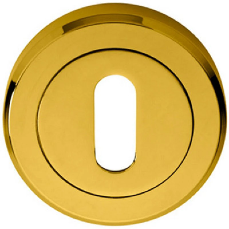Image of Loops 51mm Lock Profile Escutcheon Chamfered Edge Concealed Fix Stainless Brass Metallics unisex