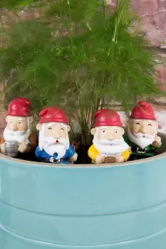 Image of Mini Plant Pot Gnomes