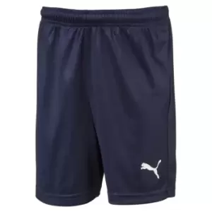 Image of Puma Liga Shorts Juniors - Blue