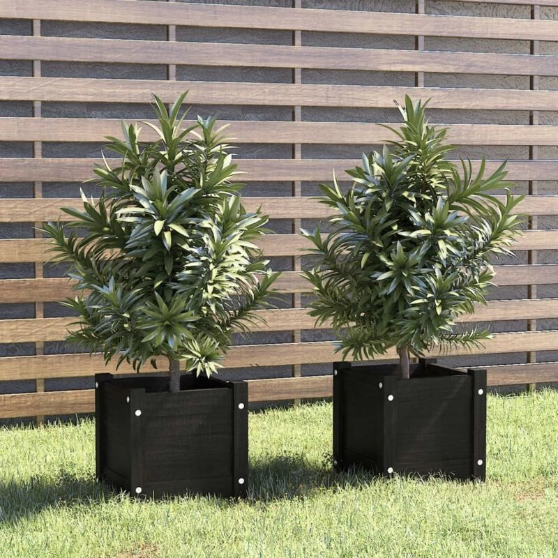 Image of VIDAXL Garden Planters 2 pcs Black 31x31x31cm Solid Pinewood Vidaxl 8720286773178