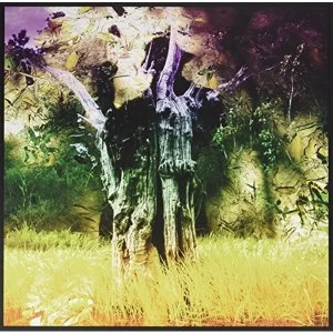 Image of Animal Collective - Meeting of the Waters 12" Vinyl