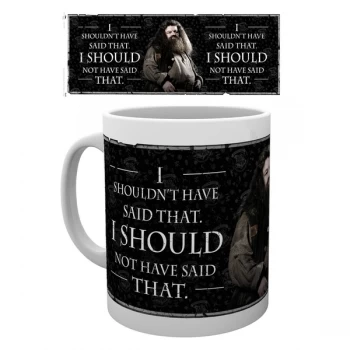 Image of Harry Potter - Hagrid Quote Mug