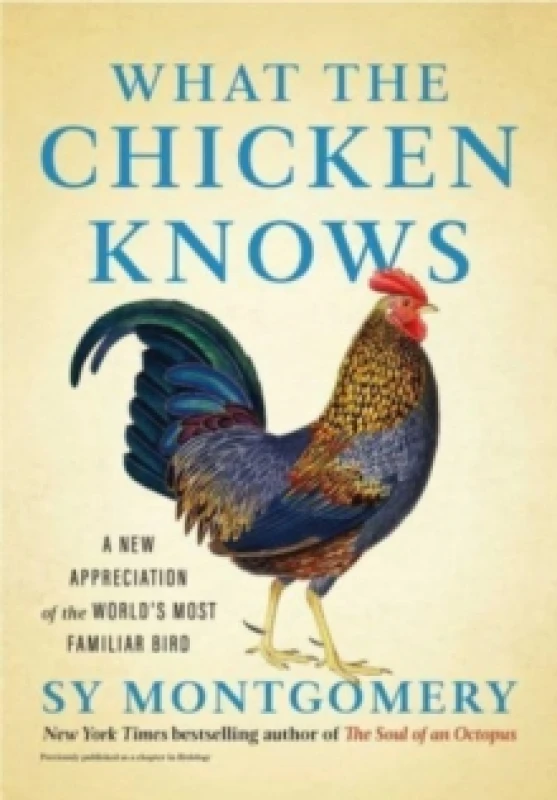 Image of What the Chicken Knows : A New Appreciation of the World's Most Familiar Bird Hardback