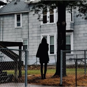 Image of The Tallest Man On Earth - Dark Bird Is Home Vinyl