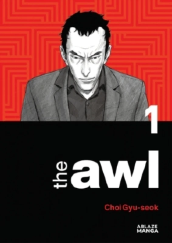 Image of The Awl Vol 1 Paperback / softback