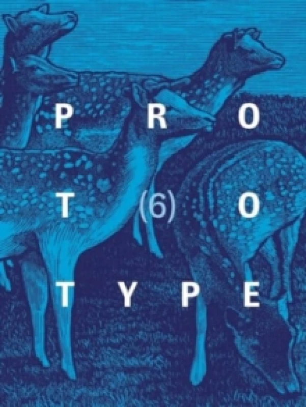 Image of PROTOTYPE 6 Paperback / softback