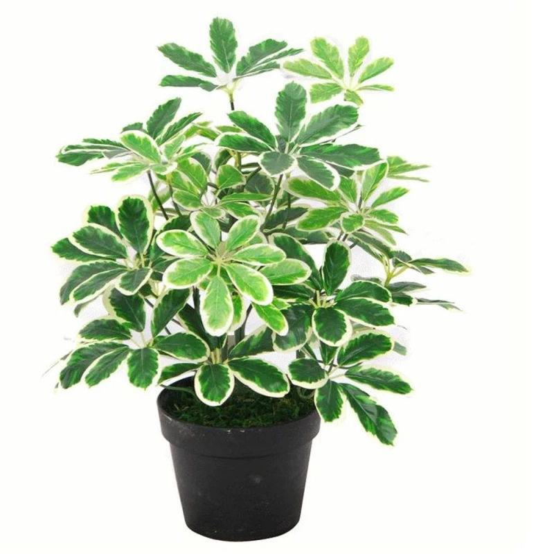 Image of Leaf 55cm Variegated Artificial Schefflera Arboricola Plant Green unisex