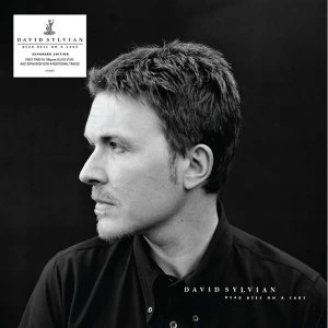 Image of David Sylvian - Dead Bees On A Cake Vinyl