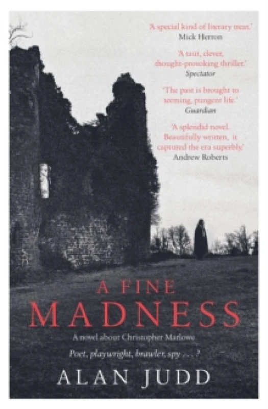 Image of A Fine Madness : Sunday Times 'Historical Fiction Book of the Month' Paperback / softback