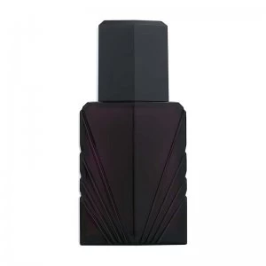 Image of Elizabeth Taylor Passion For Men EDC Spray 118ml