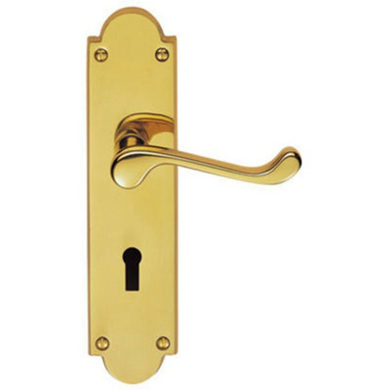 Image of Loops PAIR Victorian Scroll Handle on Lock Backplate 205 x 49mm Polished Brass Metallics