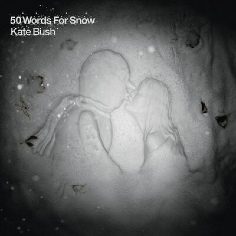 Image of Kate Bush - 50 Words for Snow [CD / Album] Music CDs - Music CD