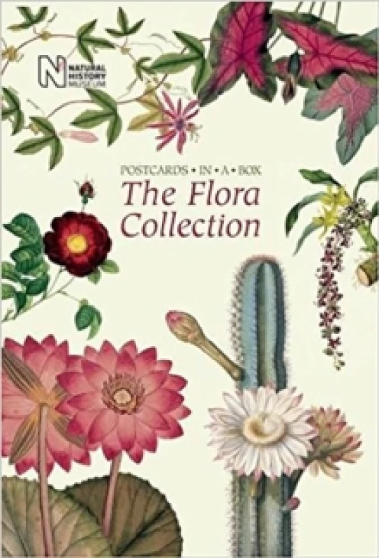 Image of The Flora Collection. Cards Books