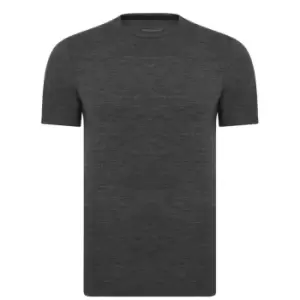 Image of Icebreaker icebreaker Anatomica SS Crewe - Grey