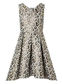 Image of Monsoon Girls Margot Animal Jacquard Prom Dress - Multi