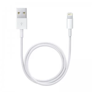 Image of Apple Lightning to USB Cable 0.5m