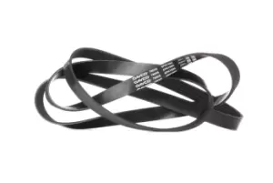 Image of DAYCO V-ribbed belt MERCEDES-BENZ,BMW,OPEL 6PK1995 60626658,60663242,71753674 11287527564,11287549150,11287628650,334744,60626658,60663242,71753674