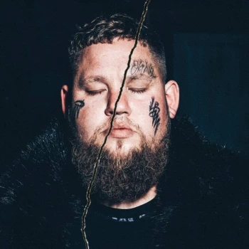 Image of Rag'n'Bone Man - Life By Misadventure Vinyl
