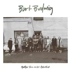 Image of Bart Budwig - Another Burn On The Astroturf Vinyl