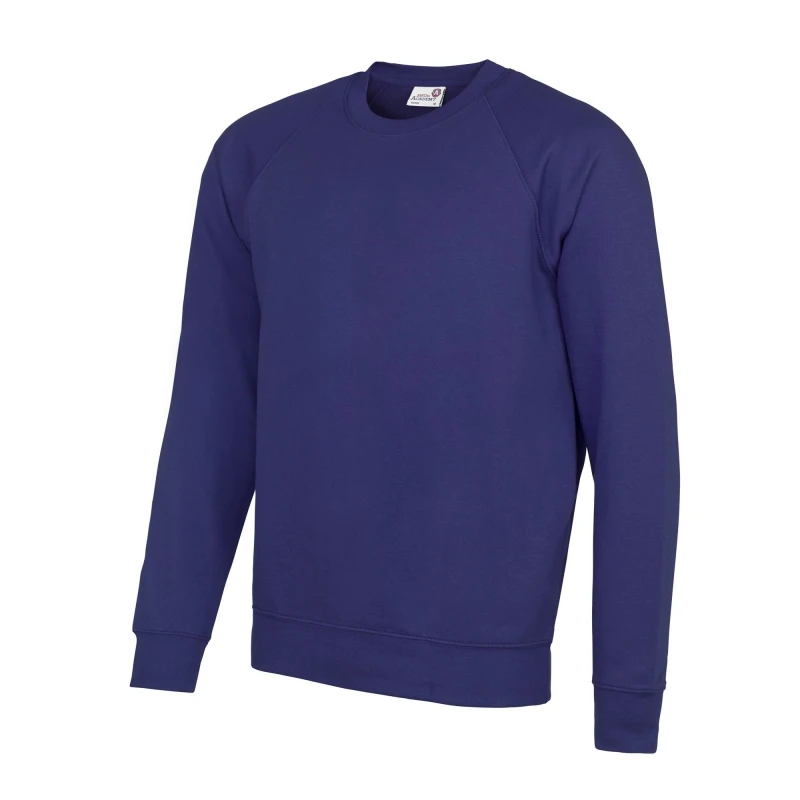 Image of AWDis AWDis Men Academy Crew Neck Raglan Sweatshirt in Purple Size: X-Small Purple XS Male 5054752809362