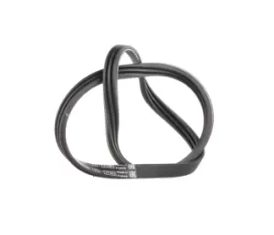 Image of Bosch V-ribbed belt RENAULT,PEUGEOT,NISSAN 1 987 947 572 8200830182,PQS101450,5750FL 8200830182,PQS101450