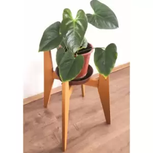 Image of Pollny Handmade Natural Solid Wood Plant Pot Holder Pot Stand Pot Organizer Decorative Plant Organizer - Light - Decorotika