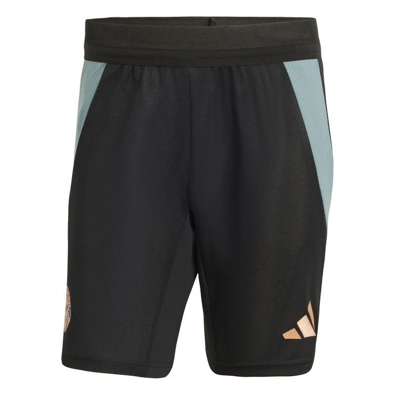 Image of adidas Mens adidas Bayern Munich Training Shorts 25/26 Black male M