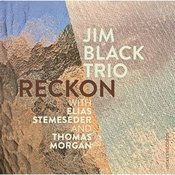 Image of Jim Black Trio - Reckon CD