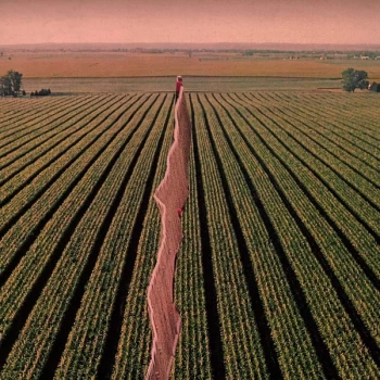 Image of Possible Humans - Everybody Split Vinyl