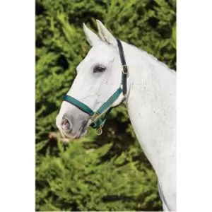 Image of Kincade Deluxe Webbed Headcollar with Leather Crown - Green