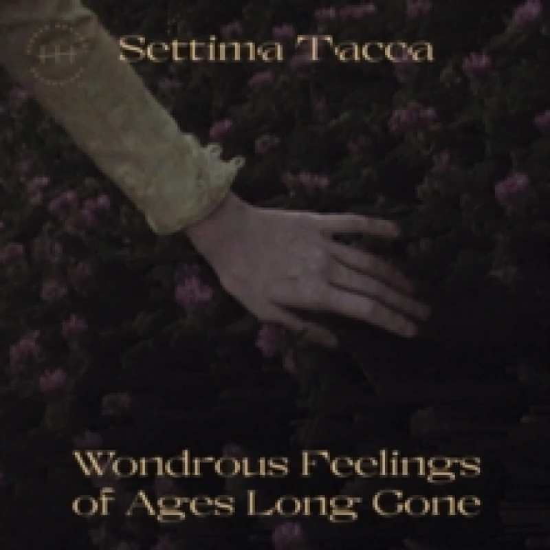 Image of Wondrous Feelings of Ages Long Gone Vinyl