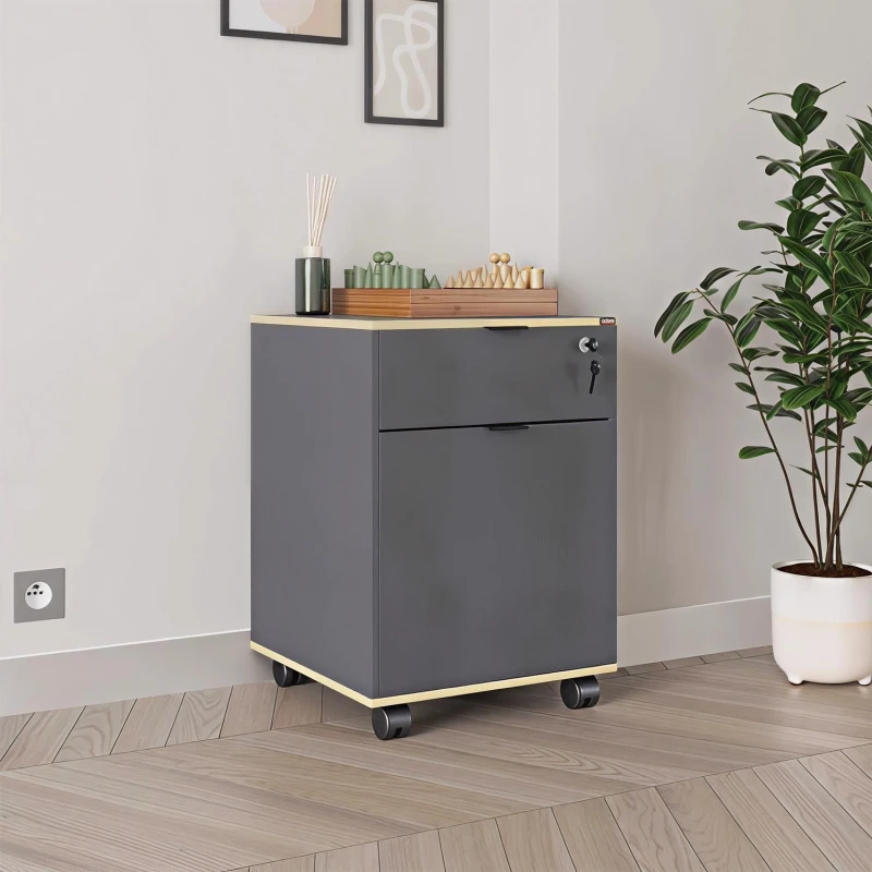 Image of FWStyle FWStyle 1 Door 1 Drawer Lockable Mobile Office Storage Cabinet - Anthracite Grey Grey One Size Unisex 5056413130914