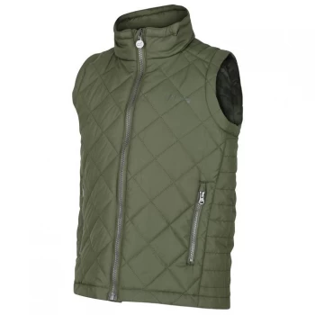 Image of Regatta Zion Quilted Bodywarmer - Racing Green