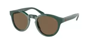 Image of Polo Ralph Lauren Sunglasses PH4184 542173