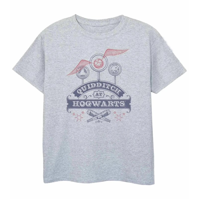 Image of Harry Potter Quidditch T-Shirt Grey male
