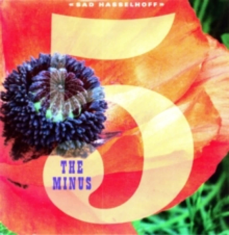 Image of Sad Hasselhoff Vinyl