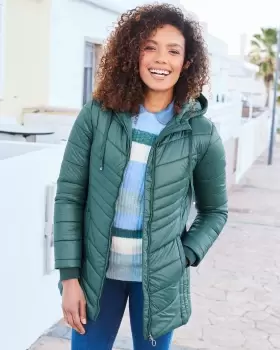 Image of Cotton Traders Womens Padded Hooded Jacket in Green