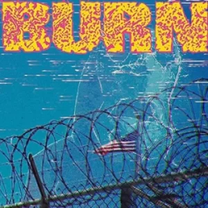 Image of From the Ashes by Burn Vinyl Album