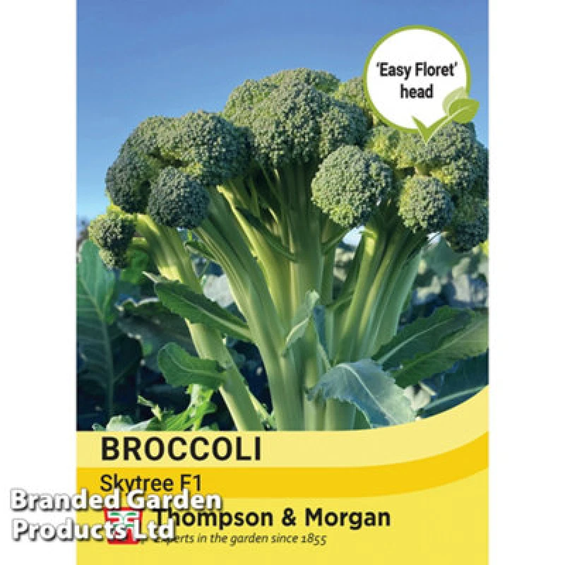 Image of Thompson & Morgan Broccoli (Easy Floret) Skytree F1 1 Seed Packet (15 Seeds)