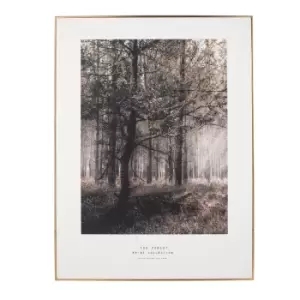 Image of Forest 60x80cm Large Monochrome Framed Wall Art Gold