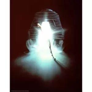 Image of The Fly Limited Edition Art Print