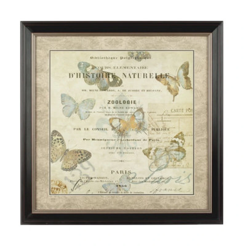 Image of Premier Housewares Framed Butterfly 2 Wall Art Home Wall Decor Brown